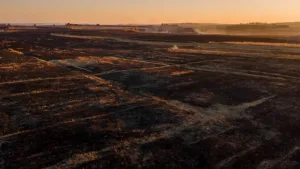 Incendies en Haute‑Garonne : plus de 50 hectares détruits, vigilance rouge maintenue