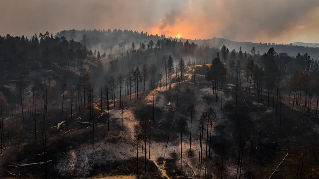 Incendies : le Var fixe le feu du Gros Bessillon, la Gironde surveille 14 reprises