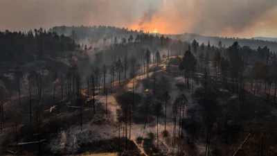 Incendies : le Var fixe le feu du Gros Bessillon, la Gironde surveille 14 reprises