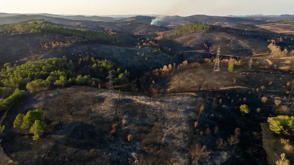 Incendies majeurs dans le Sud : plus de 1 100 hectares brûlés en un jour, six départements en vigilance rouge