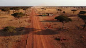 Incident frontalier Sénégal-Gambie : Dakar justifie une opération contestée