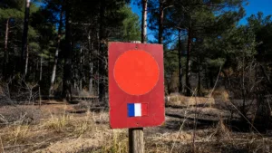 Indre-et-Loire : le risque incendie de forêt passe en alerte très sévère