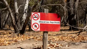 Isère : risque feux de forêt sévère ce jeudi dans quatre secteurs