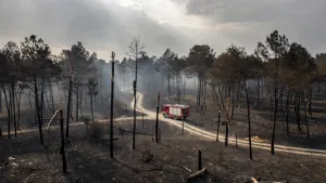 La Bouilladisse : 122 pompiers mobilisés sur un feu de 2 hectares, rapidement fixé