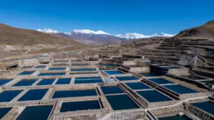 La Chine lance son saumon du plateau tibétain à la conquête du marché mondial