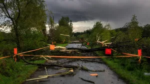 La Flèche : voies vertes et bois interdits d&rsquo;accès après les orages du 15 juillet