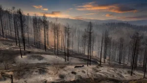 La Grande-Verrière : 60 hectares ravagés, le feu maîtrisé après 240 pompiers