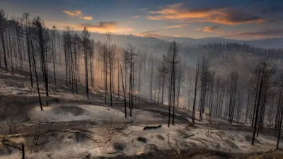 La Grande-Verrière : 60 hectares ravagés, le feu maîtrisé après 240 pompiers