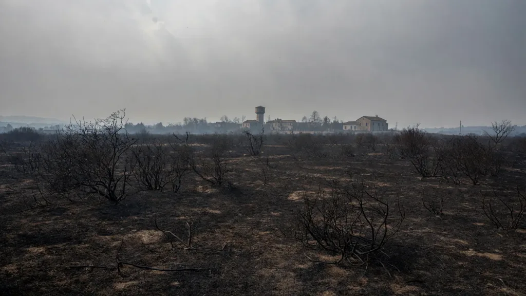 Labastide-Saint-Pierre : un incendie électrique ravage deux hectares en pleine canicule