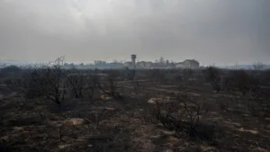 Labastide-Saint-Pierre : un incendie électrique ravage deux hectares en pleine canicule