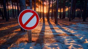 L&rsquo;Aiguillon-la-Presqu&rsquo;île : contrôle forestier sous vigilance orange