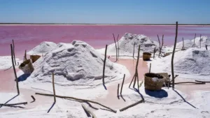 Le Lac Rose du Sénégal retrouve sa couleur et ses récolteurs de sel