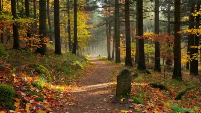 Le Saulcy : inauguration du Chemin des Déportés par le sous-préfet