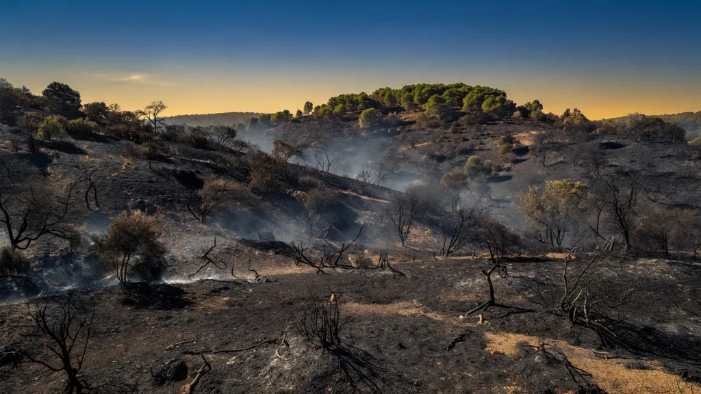 Lédenon (Gard) : le feu fixé après 540 hectares brûlés, vigilance maximale