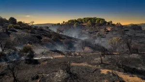 Lédenon (Gard) : le feu fixé après 540 hectares brûlés, vigilance maximale