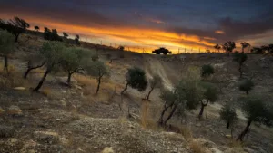 Liban : un drone du Hezbollah vise un engin de Tsahal