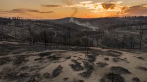 Loir-et-Cher : bilan définitif après les incendies, 400 hectares brûlés