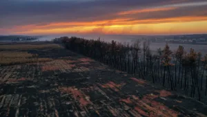 Loir-et-Cher : les incendies maîtrisés après 400 hectares brûlés