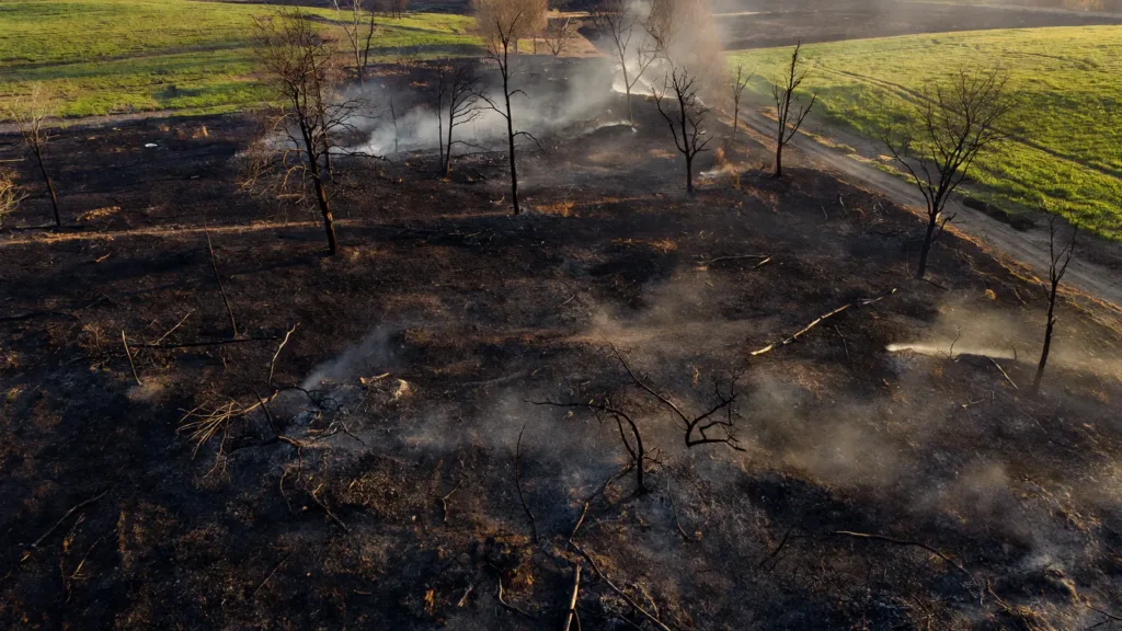 Loiret : 4 hectares de broussailles brûlés à Saint-Cyr-en-Val, le feu maîtrisé