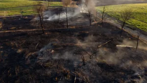Loiret : 4 hectares de broussailles brûlés à Saint-Cyr-en-Val, le feu maîtrisé