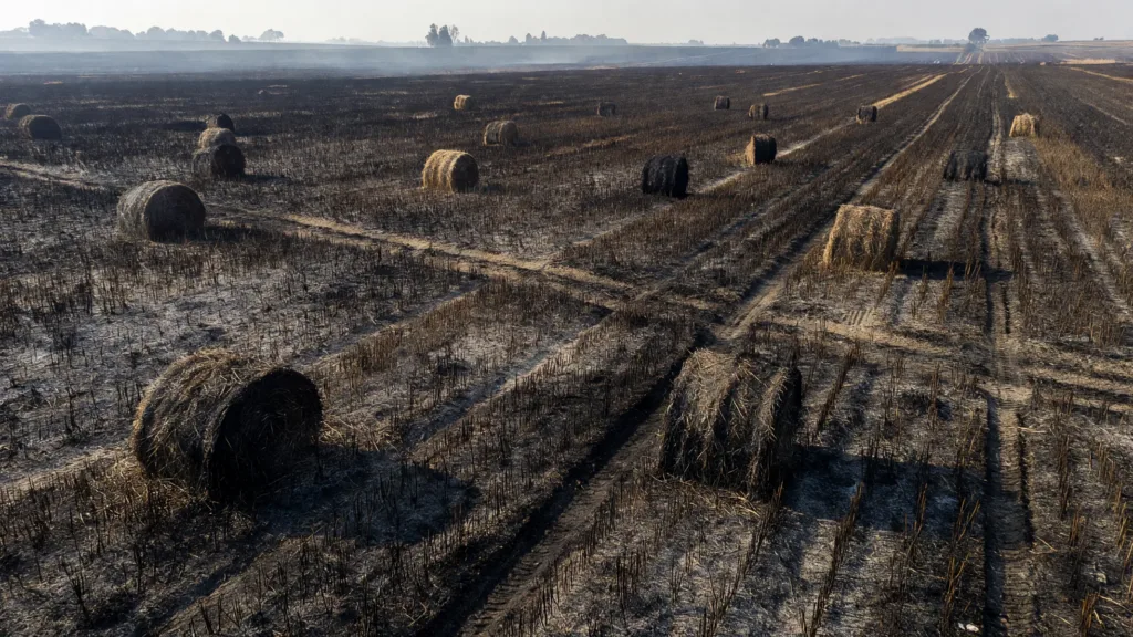 Loos-en-Gohelle : 13,5 hectares de blé détruits par un incendie en pleine canicule