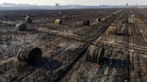 Loos-en-Gohelle : 13,5 hectares de blé détruits par un incendie en pleine canicule