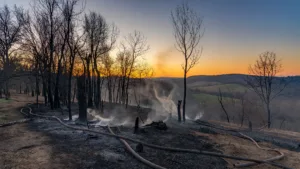 Lot-et-Garonne : 67 pompiers mobilisés pour maîtriser un feu près de Monflanquin