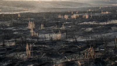 Lot-et-Garonne : deux hectares de chaume détruits par des braises au Lédat