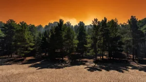 Lot-et-Garonne : vigilance orange feux de forêt jusqu&rsquo;au 14 juillet