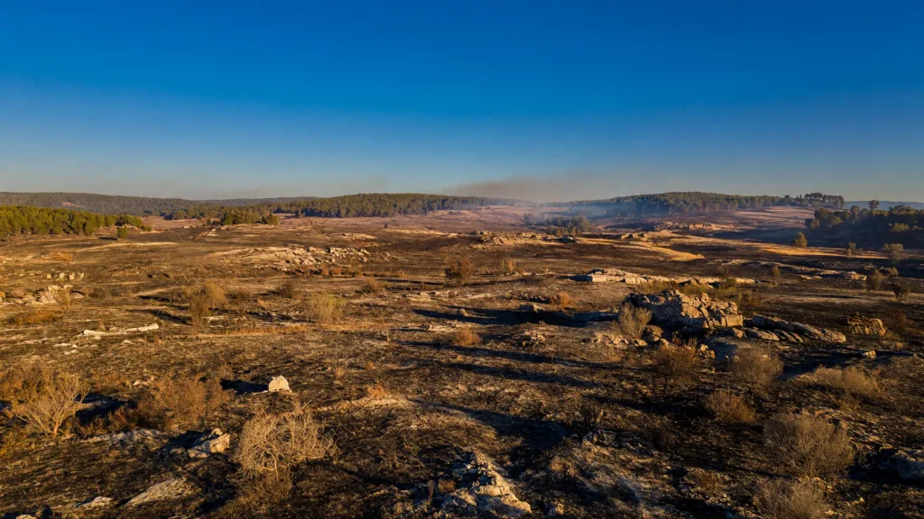 Lozère : après deux incendies majeurs, la préfecture durcit les règles