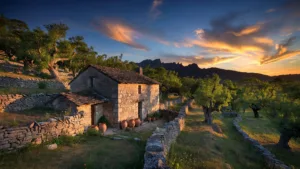 Lozère : visites de fermes pour découvrir le savoir-faire cévenol