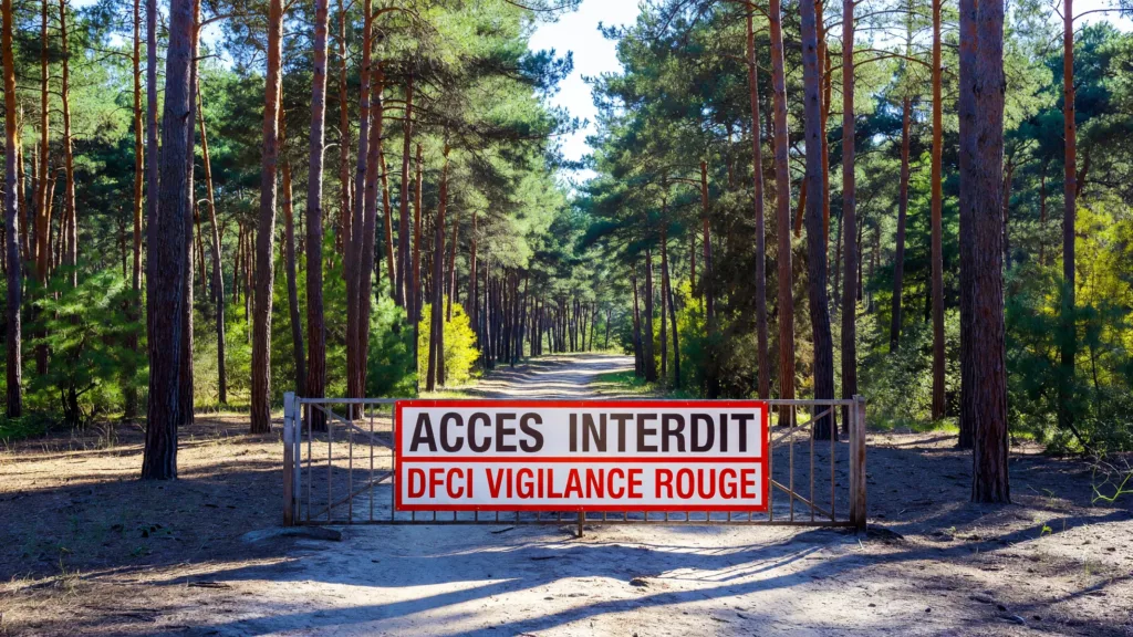 Luxey : 3 000 m² de pins détruits par un incendie, accès aux forêts interdit