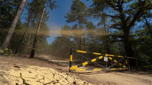 Maine-et-Loire : le préfet interdit l&rsquo;accès aux forêts face au risque incendie