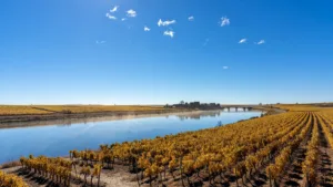 Maine-et-Loire : vigilance jaune canicule ce lundi, une troisième vague de chaleur s&rsquo;installe