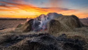 Marcoussis : incendie nocturne au centre équestre La Calèche