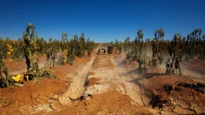 Maroc : vigilance orange pour une vague de chaleur jusqu&rsquo;à 47°C