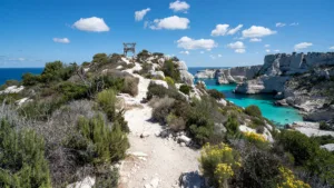 Marseille : 600 scouts patrouillent dans les Calanques pour détecter les feux