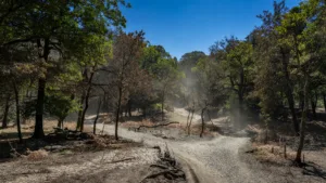 Mayenne : interdiction d&rsquo;accès aux forêts après passage en vigilance orange