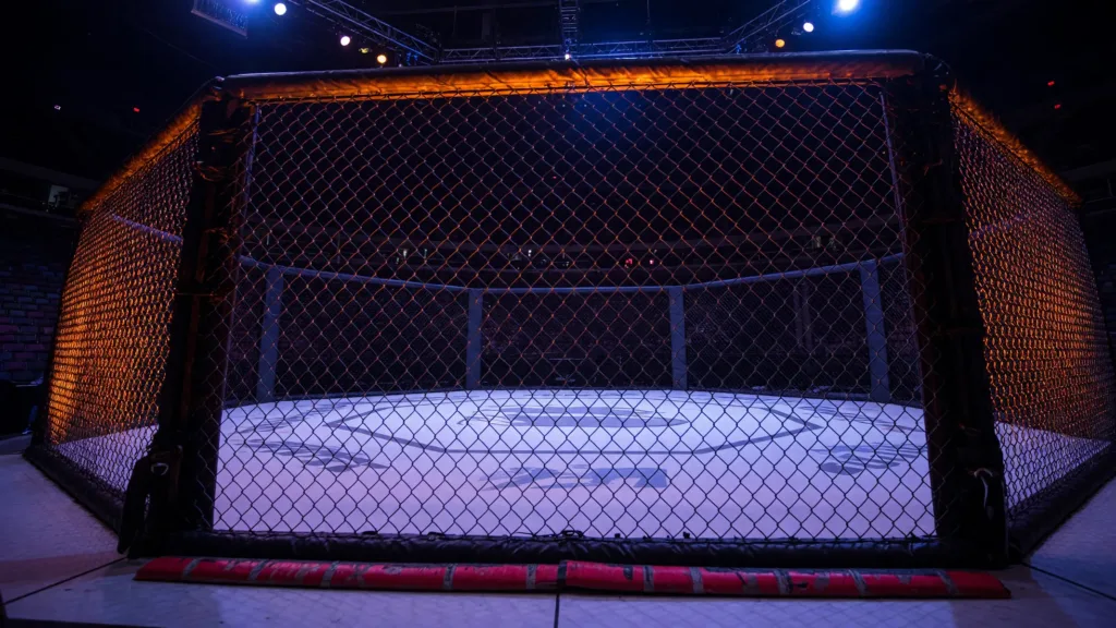 McGregor confiant avant son retour face à Holloway à l'UFC 329
