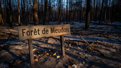 Meudon : incendie maîtrisé dans la forêt, 60 pompiers mobilisés samedi soir