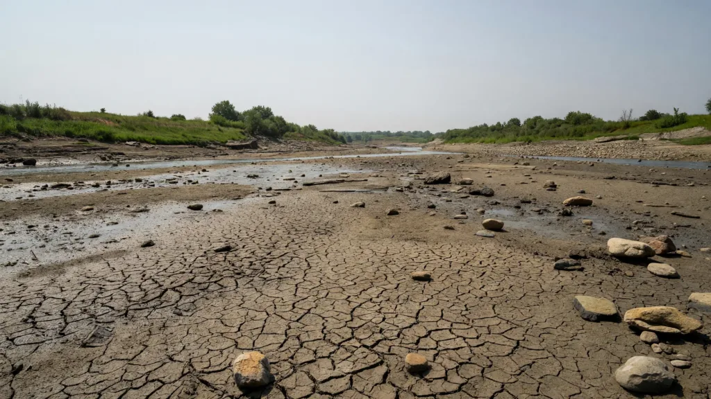 Meurthe-et-Moselle : fin de la canicule, sécheresse et feux de forêt en alerte