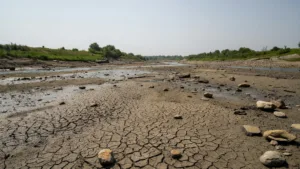 Meurthe-et-Moselle : fin de la canicule, sécheresse et feux de forêt en alerte