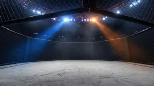 MMA : le Français Matthieu Letho Duclos signe à l&rsquo;UFC