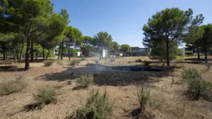 Montpellier : incendie à Grammont maîtrisé, vingt riverains évacués