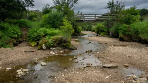 Morbihan : la majorité du département en alerte renforcée sécheresse