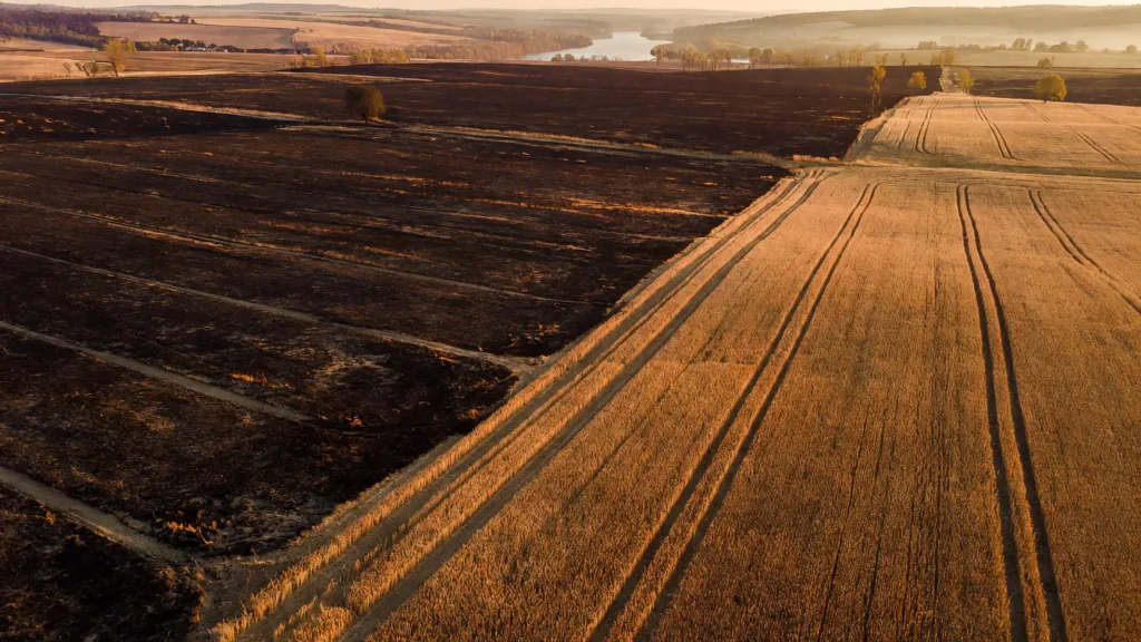 Nièvre : 123 hectares brûlés à La Charité-sur-Loire, pompiers et agriculteurs mobilisés