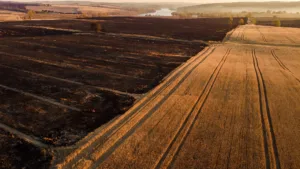 Nièvre : 123 hectares brûlés à La Charité-sur-Loire, pompiers et agriculteurs mobilisés