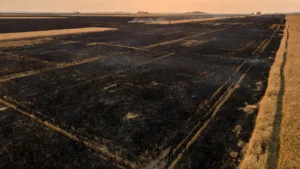 Nièvre : 123 hectares ravagés par un incendie à Munot malgré les restrictions