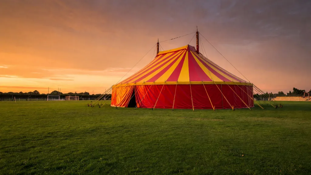 Niort : cinq jours de cirque gratuit du 21 au 25 juillet à la Venise verte