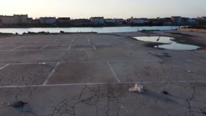 Niort : feu vert municipal pour la création d’une zone humide de 1,3 hectare à Noron